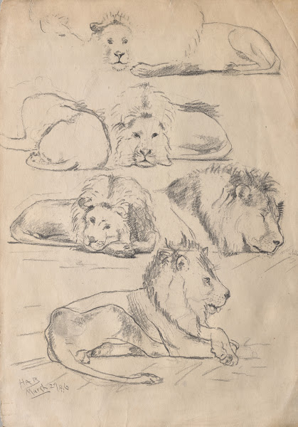 Studies ofLions 1886
