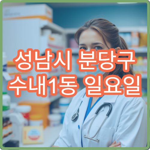 성남시 분당구 수내1동 일요일 당번약국 유동인구 많은 지역