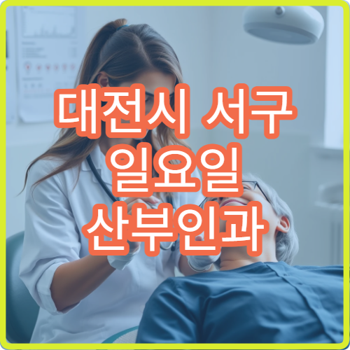 대전시 서구 일요일 산부인과 진료 병원 여성 질환 상담