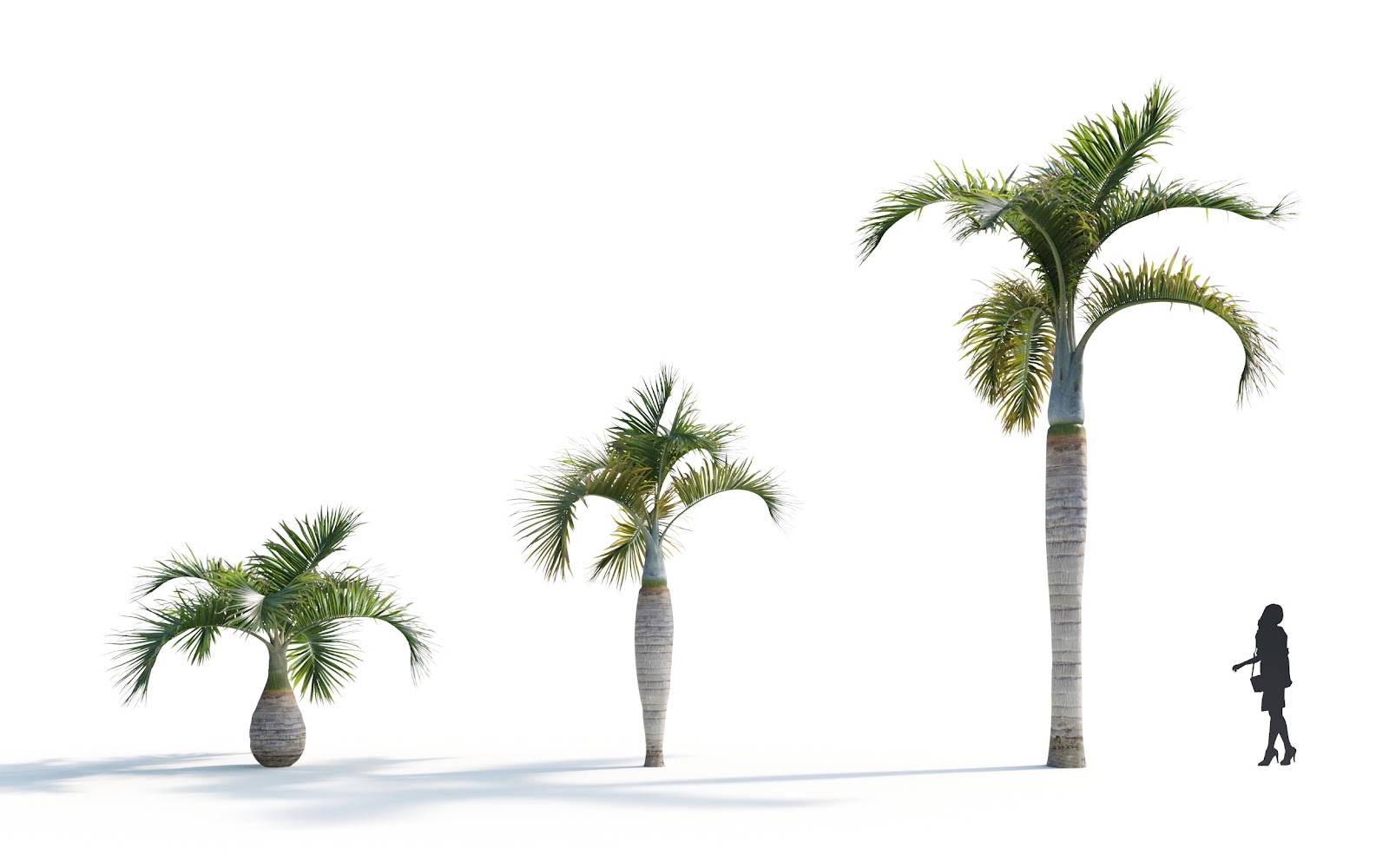Maxtree - Plant Models Vol.7