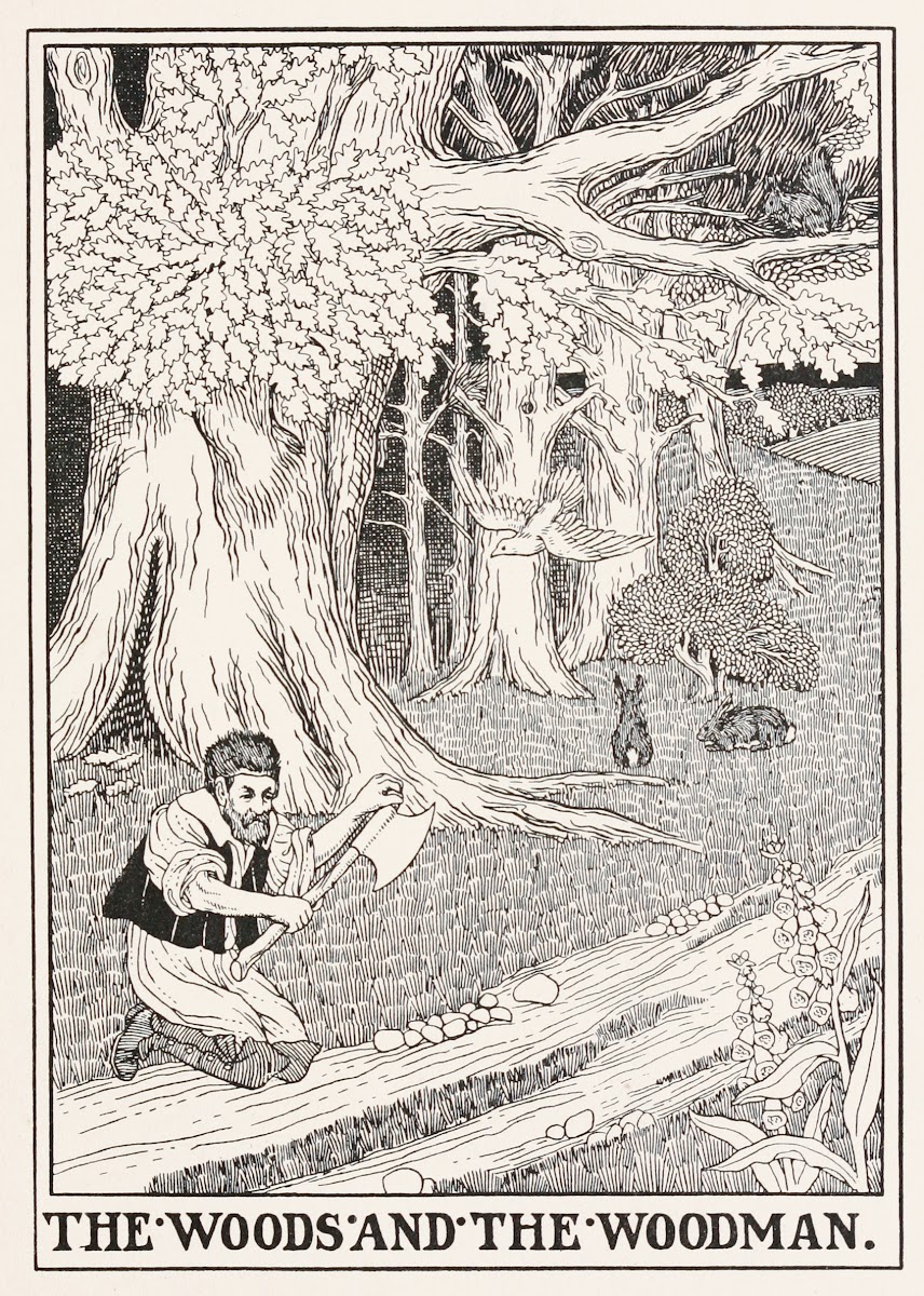 The Woods and the Woodman 1900