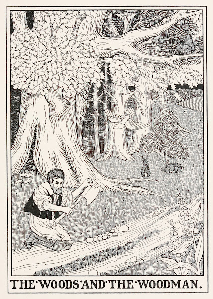 The Woods and the Woodman 1900