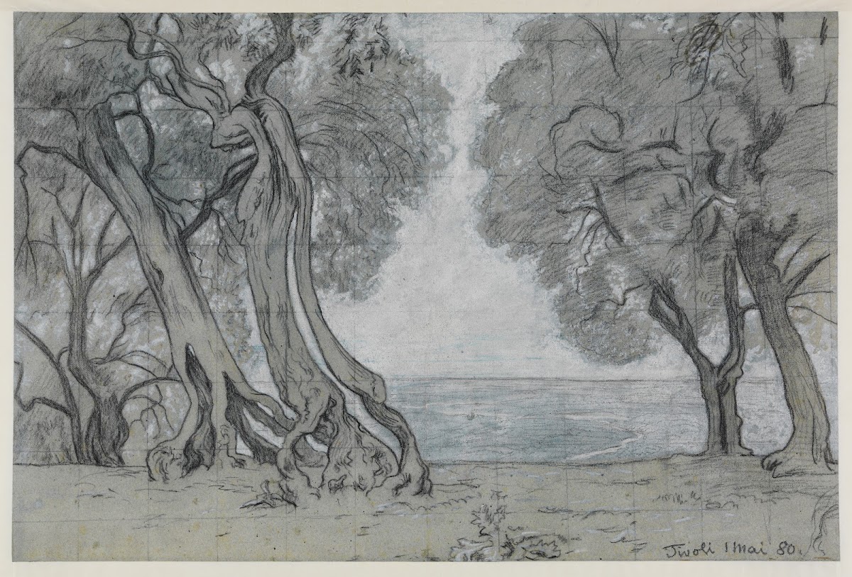 Ölbäume bei Tivoli 1880