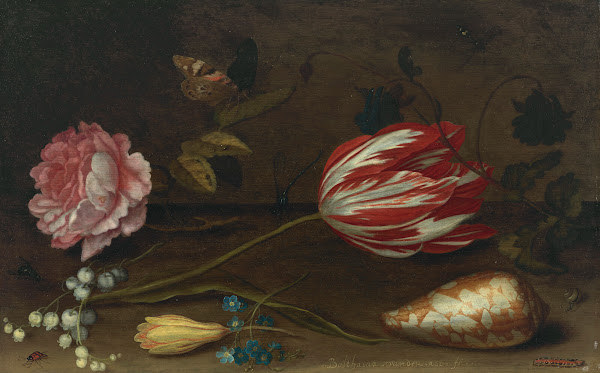 A rose a tulip insects and a shell on a ledge