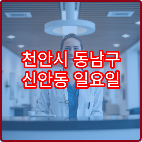 천안시 동남구 신안동 일요일 피부과 진료 병원 습진 두드러기 상담