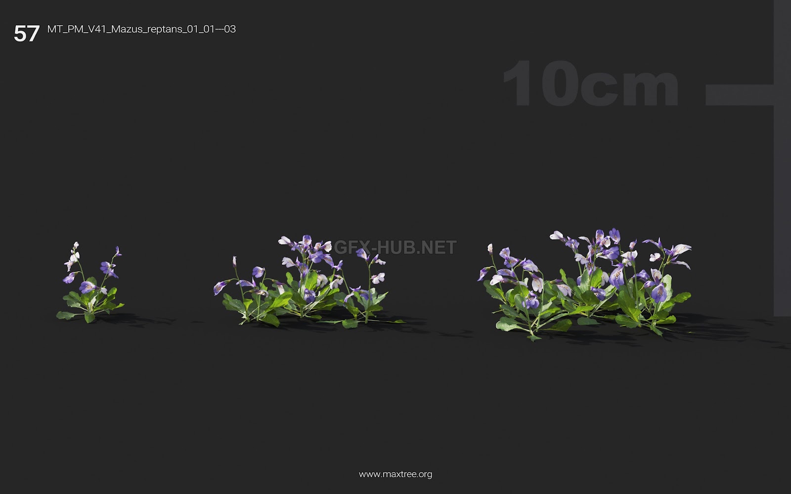 Maxtree - Plant Models Vol.41
