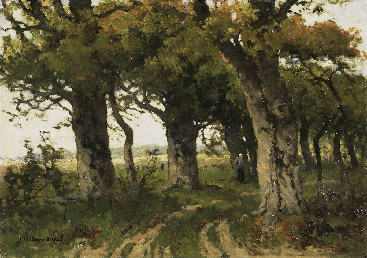 Avenue of Oaks in Late Summer 1880   1900