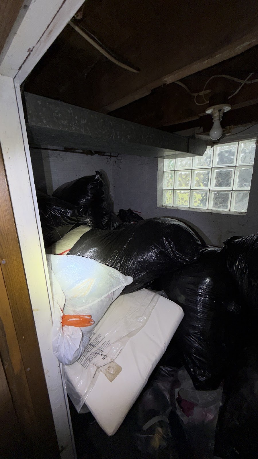 Copy of IMG_2026-03-13_14-43-25_330.jpg