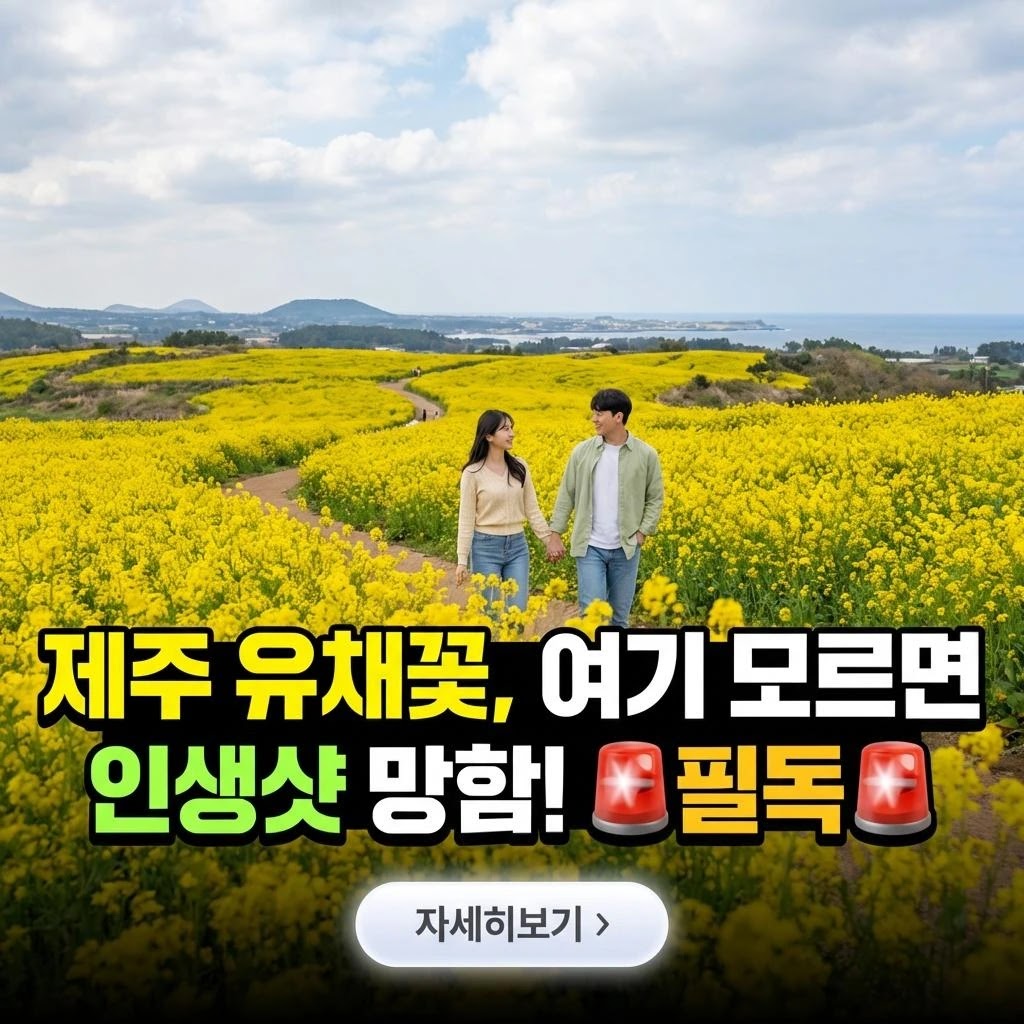 제주 유채꽃 200% 즐기기는 법: 5가지 핵심 가이드!
