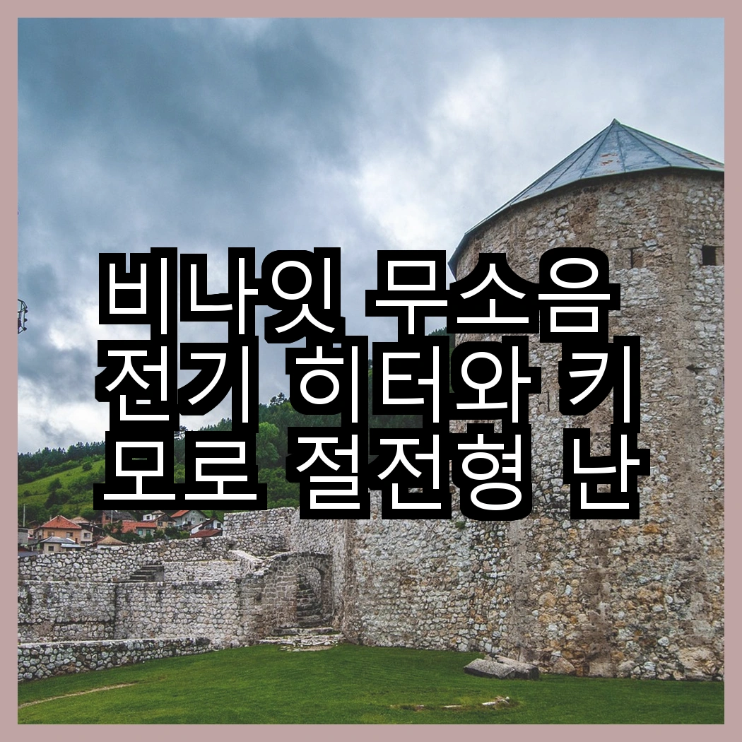 비나잇 무소음 전기 히터와 키모로 절전형 난로, 어느 쪽이 더 따뜻한 겨울을 선사할까요? 썸네일