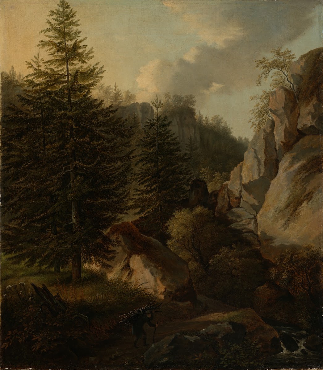 Morgen in der Sächsischen Schweiz
