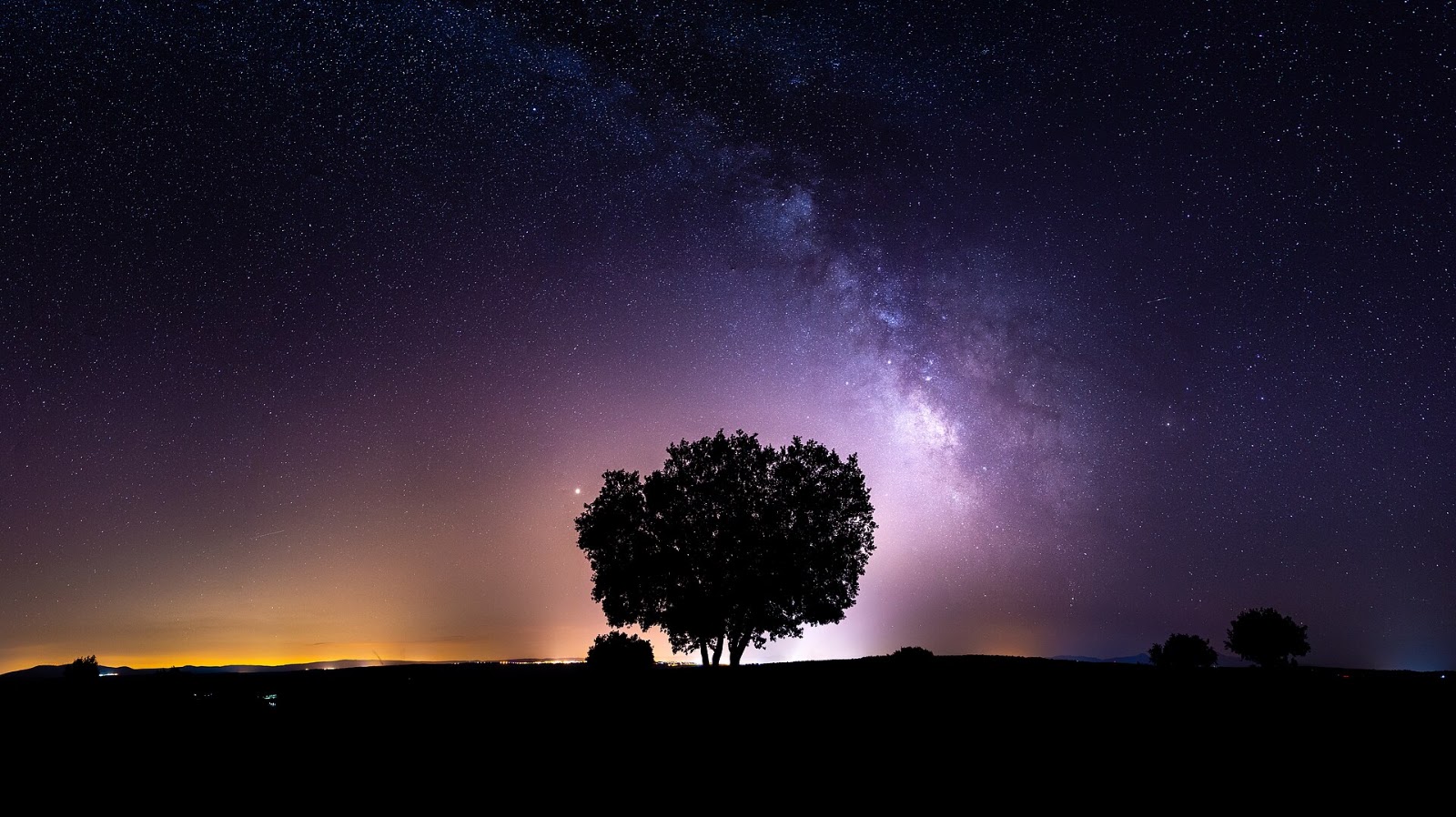 Milky Way stretching across the night sky above the silhouette of an oak tree, with Mars glowing nearby.