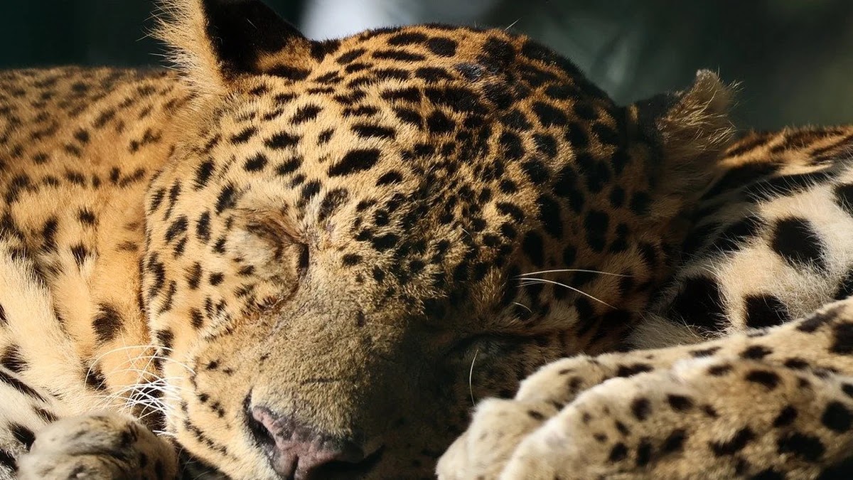 수면주기 이상 신호와 정상 범위 기준