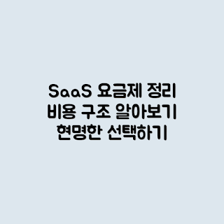SaaS 요금제, 비용 구조, 요금제 선택 기준, SaaS 비용, SaaS 가격 비교