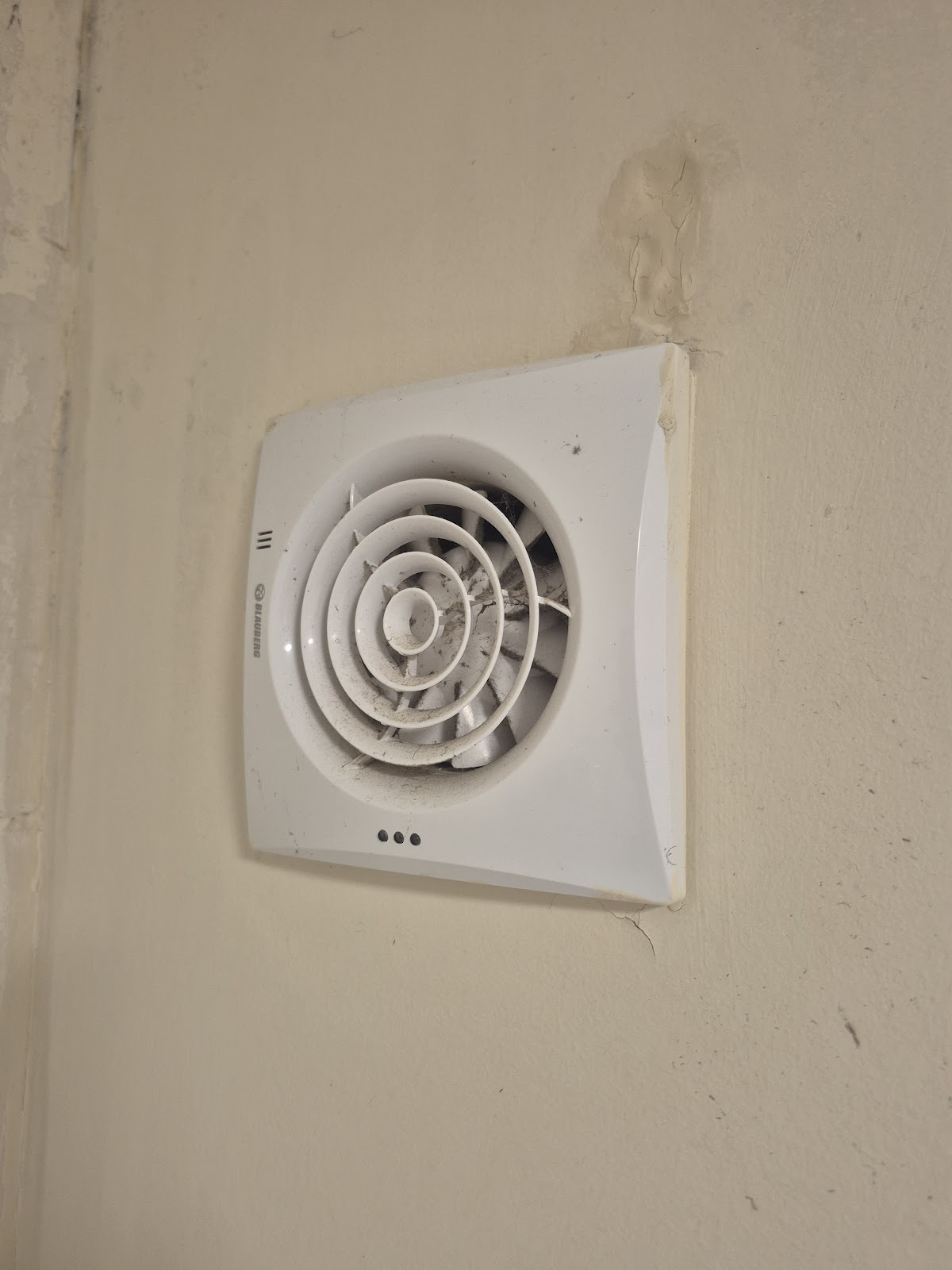 Penetrating damp — water ingress causing staining and mould growth on rental property wall