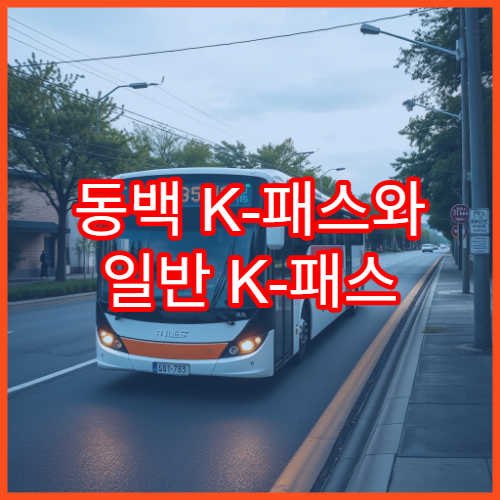 동백 K-패스와 일반 K-패스 차이, 모두의 카드 기준 분석