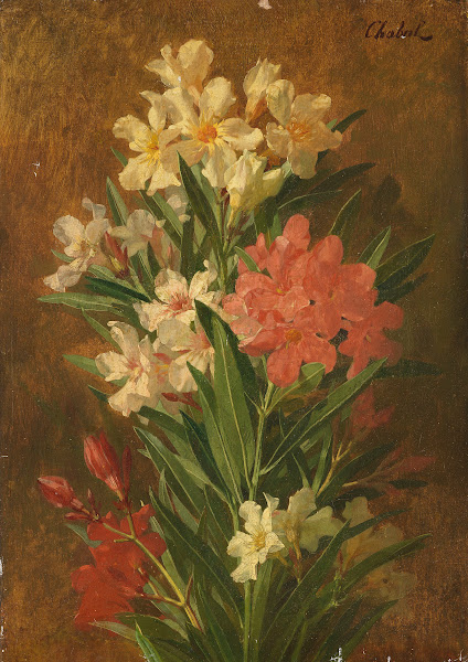 Red and white flowering oleander ca1840