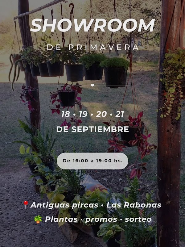 Showroom de Primavera
