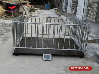 Dự án lắp cân bàn 2000kg tại Hưng Yên