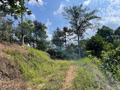 Tanah Kebun Durian Hulu Rening, Batang Kali (2.35 Ekar) — foto 8/10