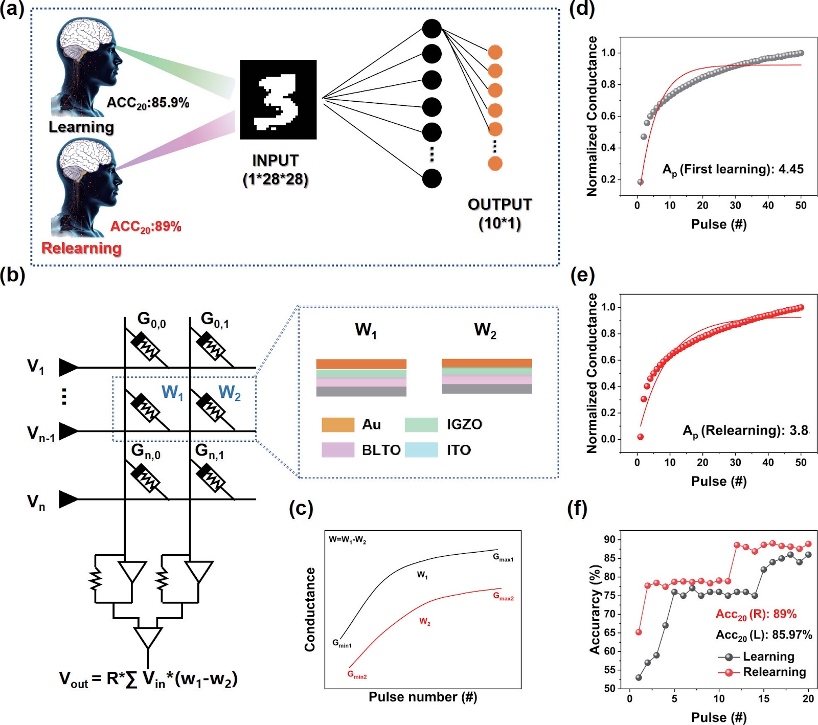 Optoelectronic synapses based on IGZO/Bi3.25La0.75Ti3O12 heterojunctions for human brain learning mechanism simulation