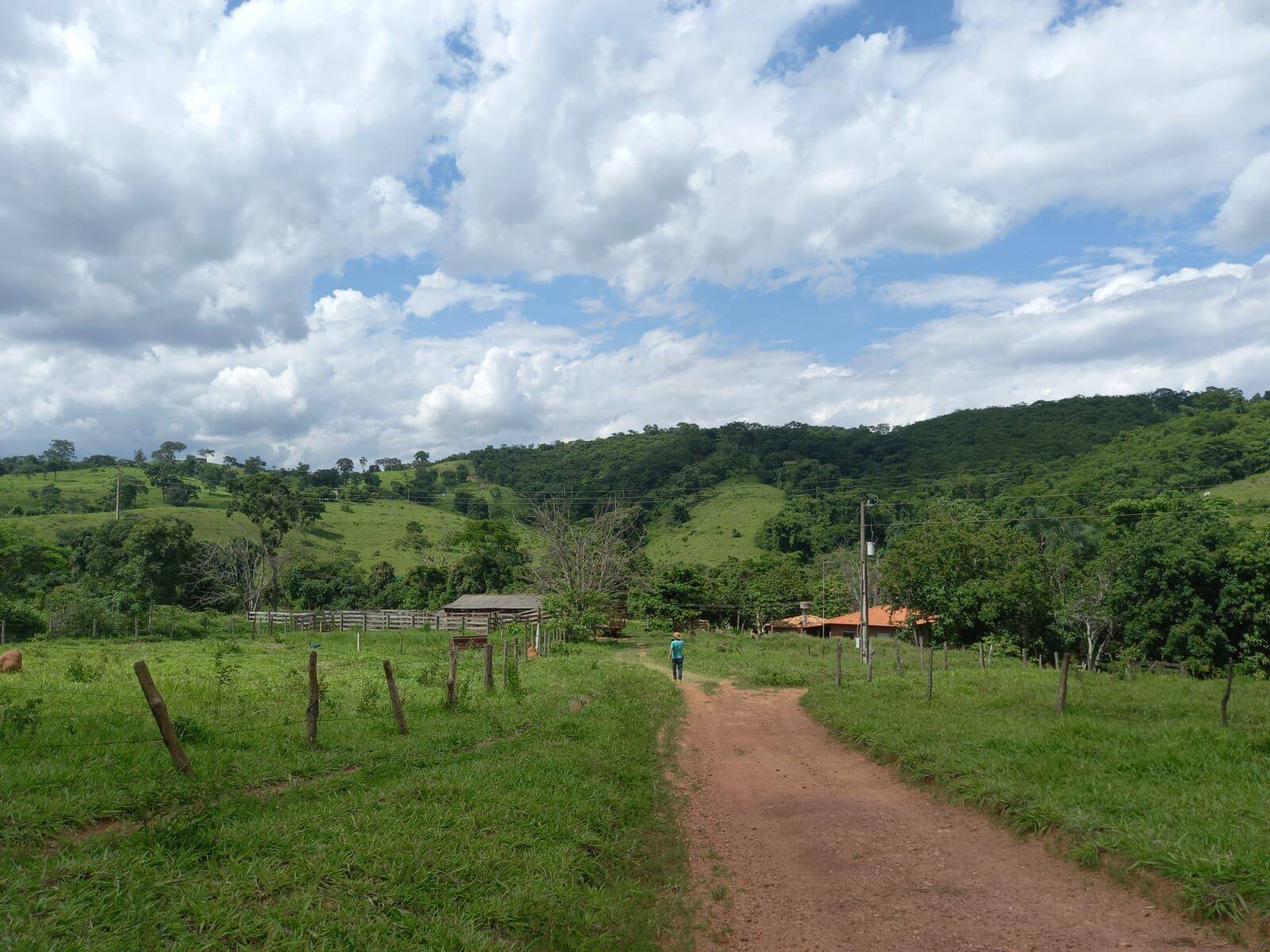 Fazenda em São Miguel do Passa Quatro-GO 5