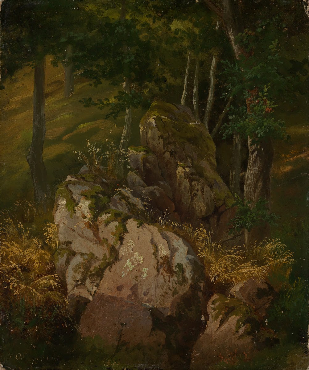 Waldinneres