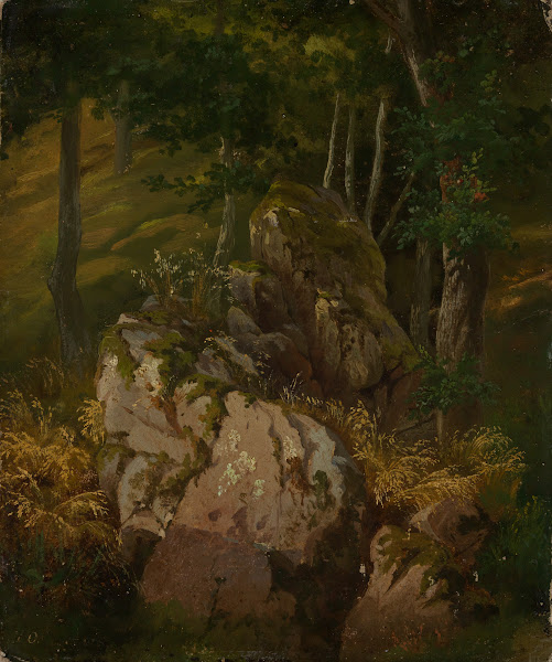 Waldinneres