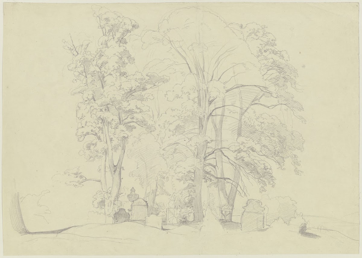 Baumgruppe auf einem Friedhof