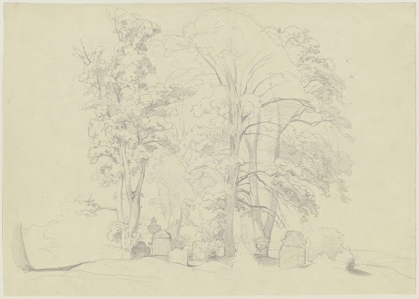 Baumgruppe auf einem Friedhof