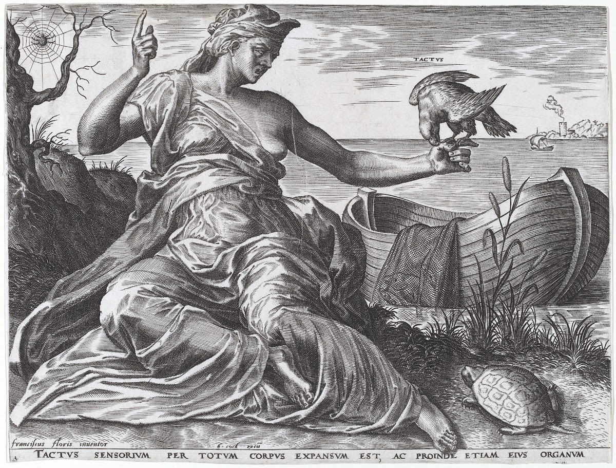Tactus 1561