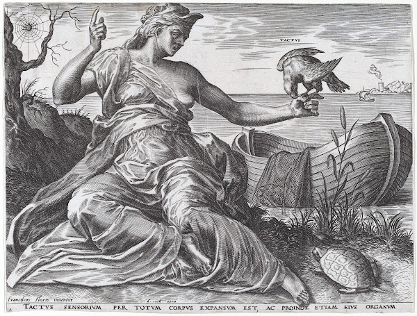 Tactus 1561