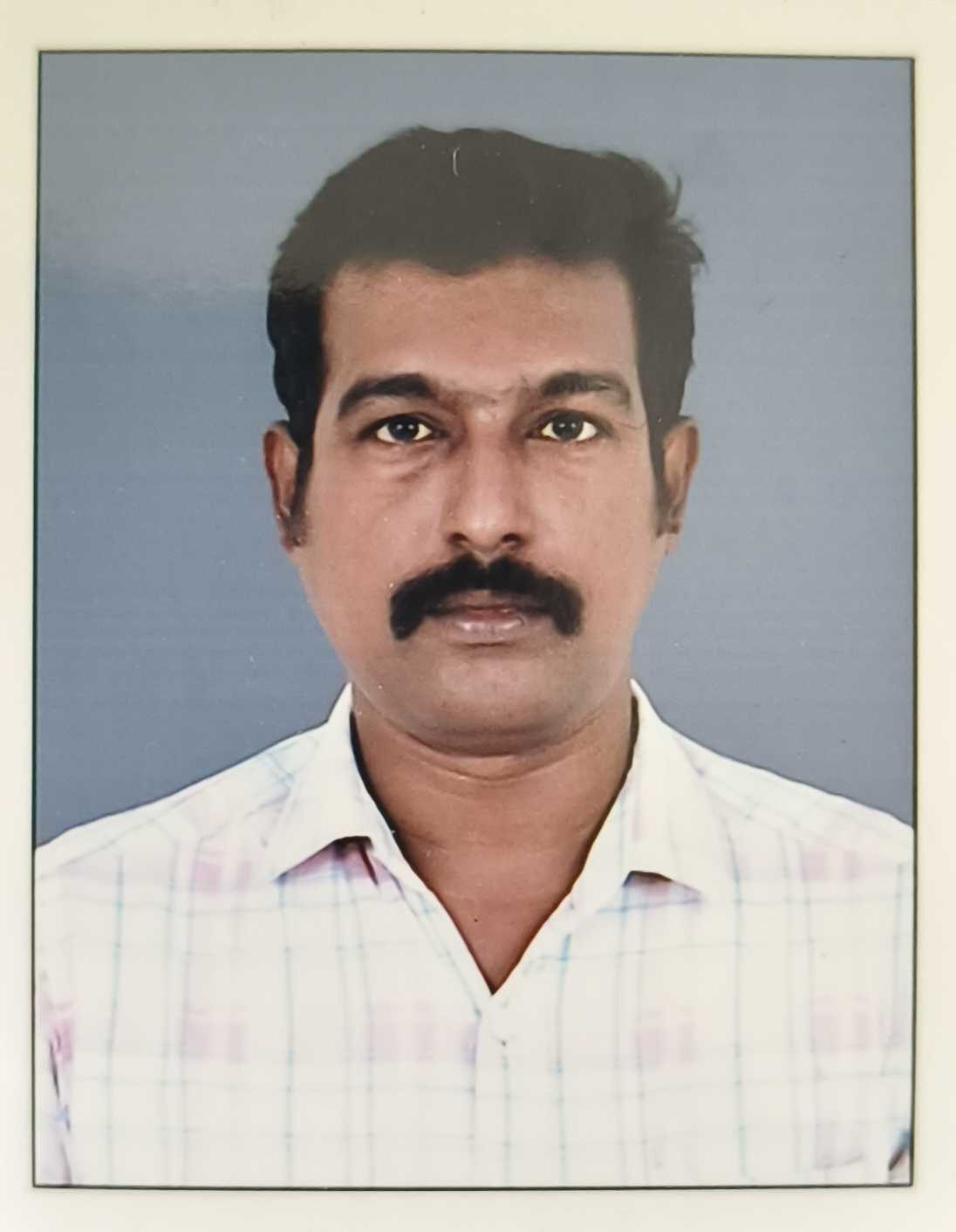 Sreejith S N