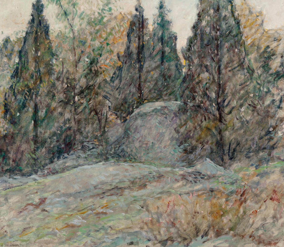 Red Cedars and Rocks