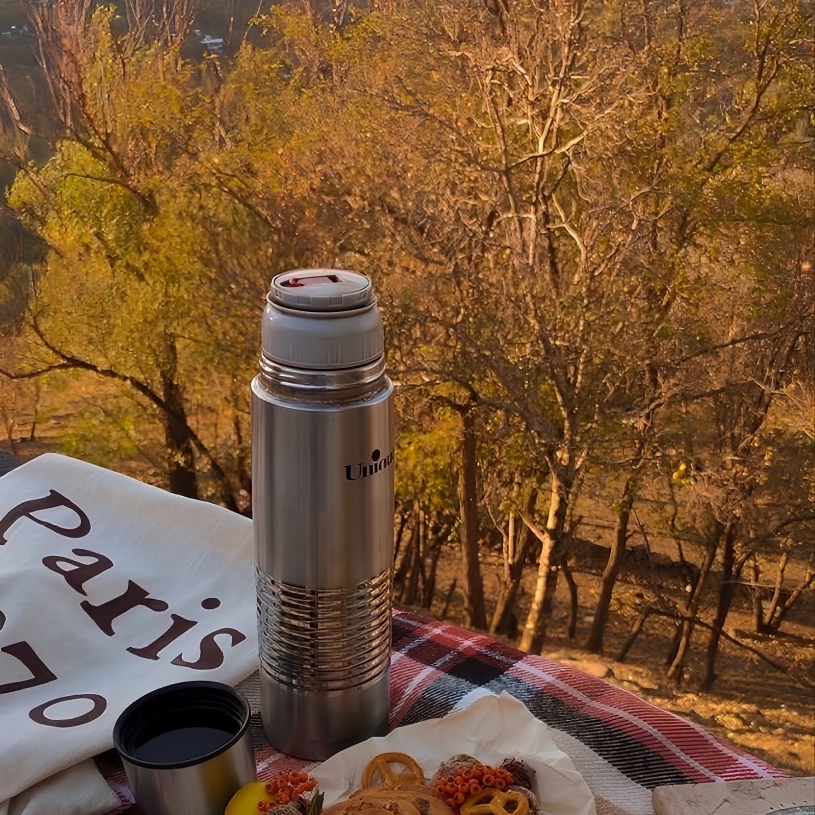 Download Cozy Autumn Picnic in Nature Full HD iPhone