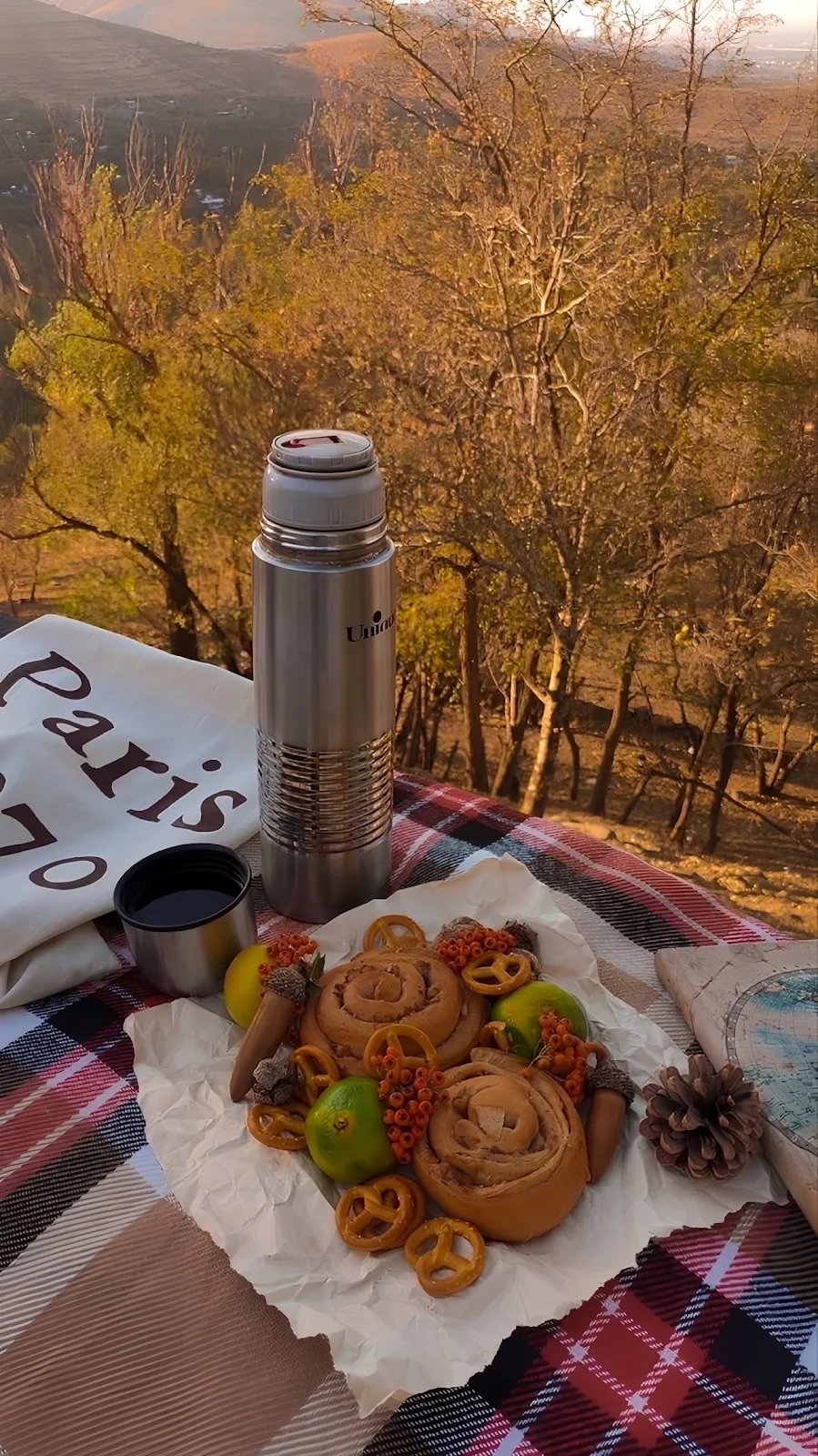Cozy Autumn Picnic in Nature - Outdoor Lifestyle Photography Full HD iPhone Wallpaper (1286x2288)