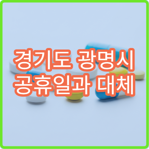 경기도 광명시 공휴일과 대체 공휴일 안과 진료 가능한 병원