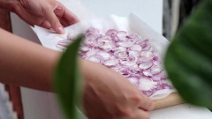 200gr hành tím rửa sạch, để ráo nước, bóc vỏ, xắt thành nhiều lát mỏng tròn. Sau đó, bạn hãy mang hành đã thái lát ra nắng phơi cho đến khi nào hành hơi héo là được, chú ý đừng để hành quá khô bạn nhé. Ngoài ra, nếu không thể phơi ngoài nắng do một số nguyên nhân nào đó như thời tiết chẳng hạn, bạn có thể để hành nơi khô ráo, hay để hành qua đêm thì hành sẽ có độ héo như bạn muốn.