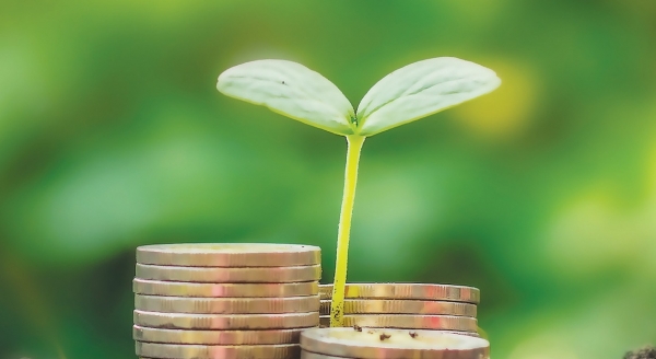 Tín dụng xanh Việt Nam tăng trưởng ấn tượng hơn 20%/năm
