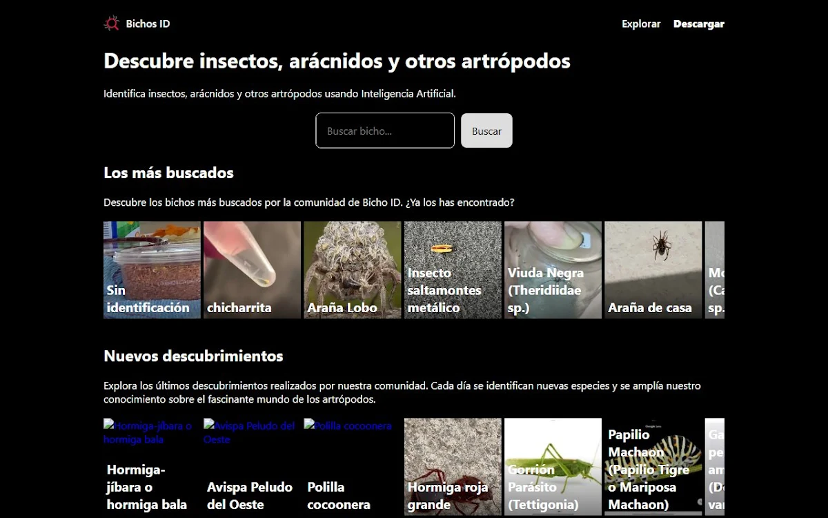 Captura de Bichos ID de Fucesa