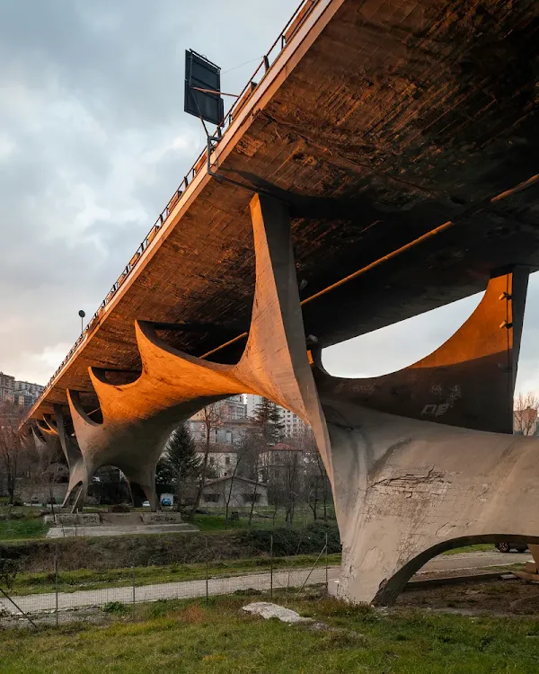 Industry Viaduct-Musmeci Bridge.