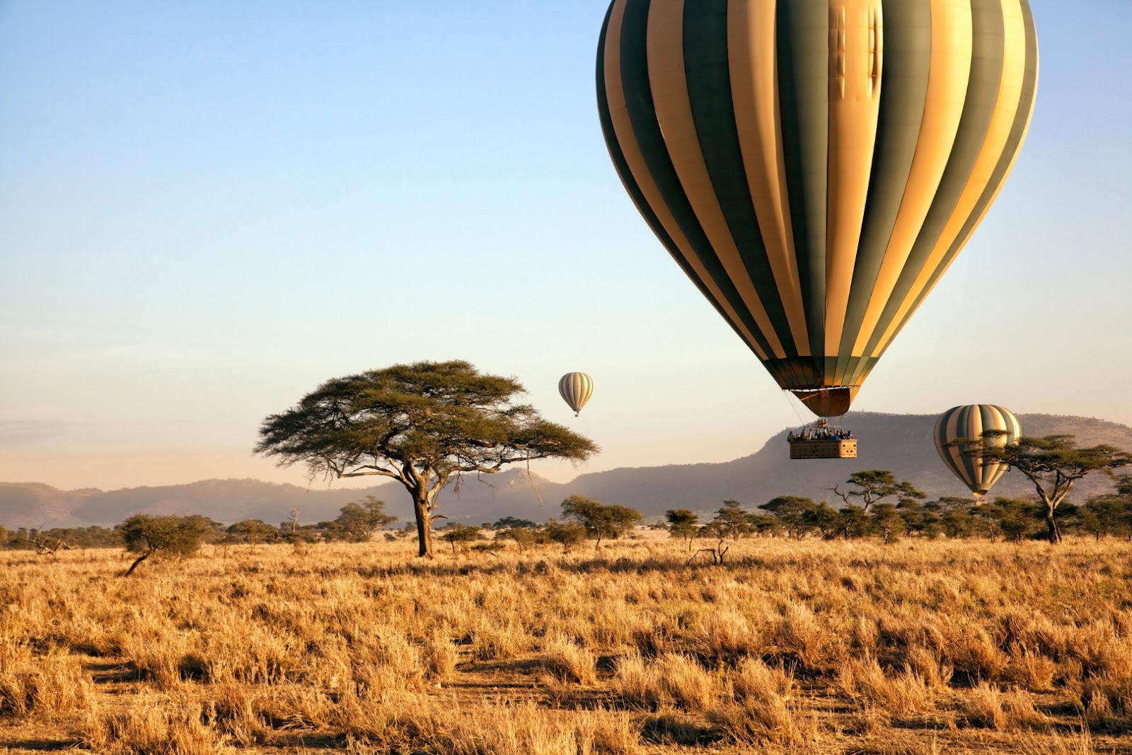 Hot-air balloon soaring over the open savanna of Tanzania’s Serengeti during a safari experience.