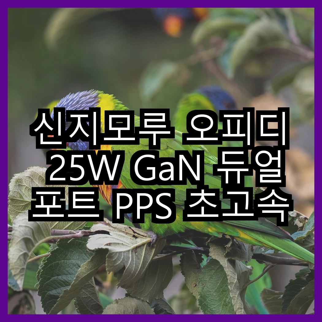 신지모루 오피디 25W GaN 듀얼포트 PPS 초고속 PD 충전기 vs 삼성전자 PD PPS GaN C타입 초고속 충전기 25W, 성능 차이 썸네일