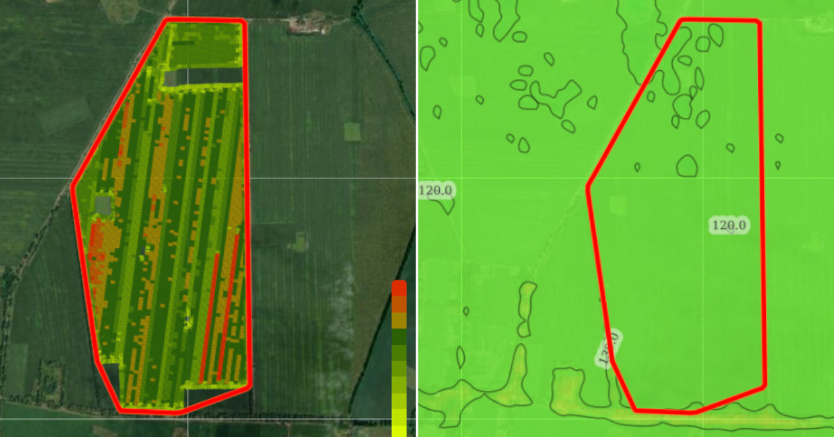 Yield map: from data collection to effective management decisions