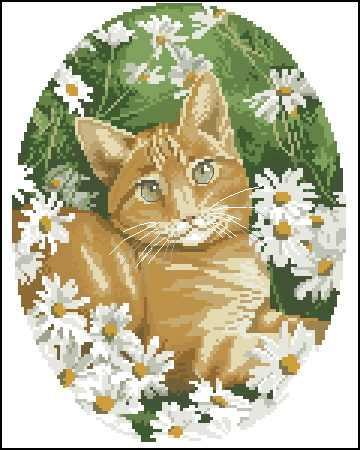 CMP JS306 Ginger Cat