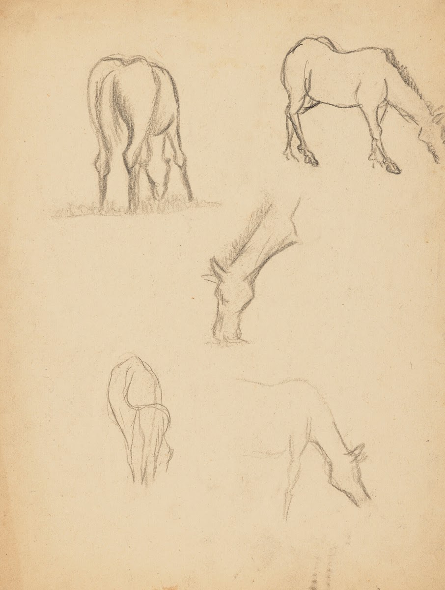 Études danimaux de paysages et de modèles