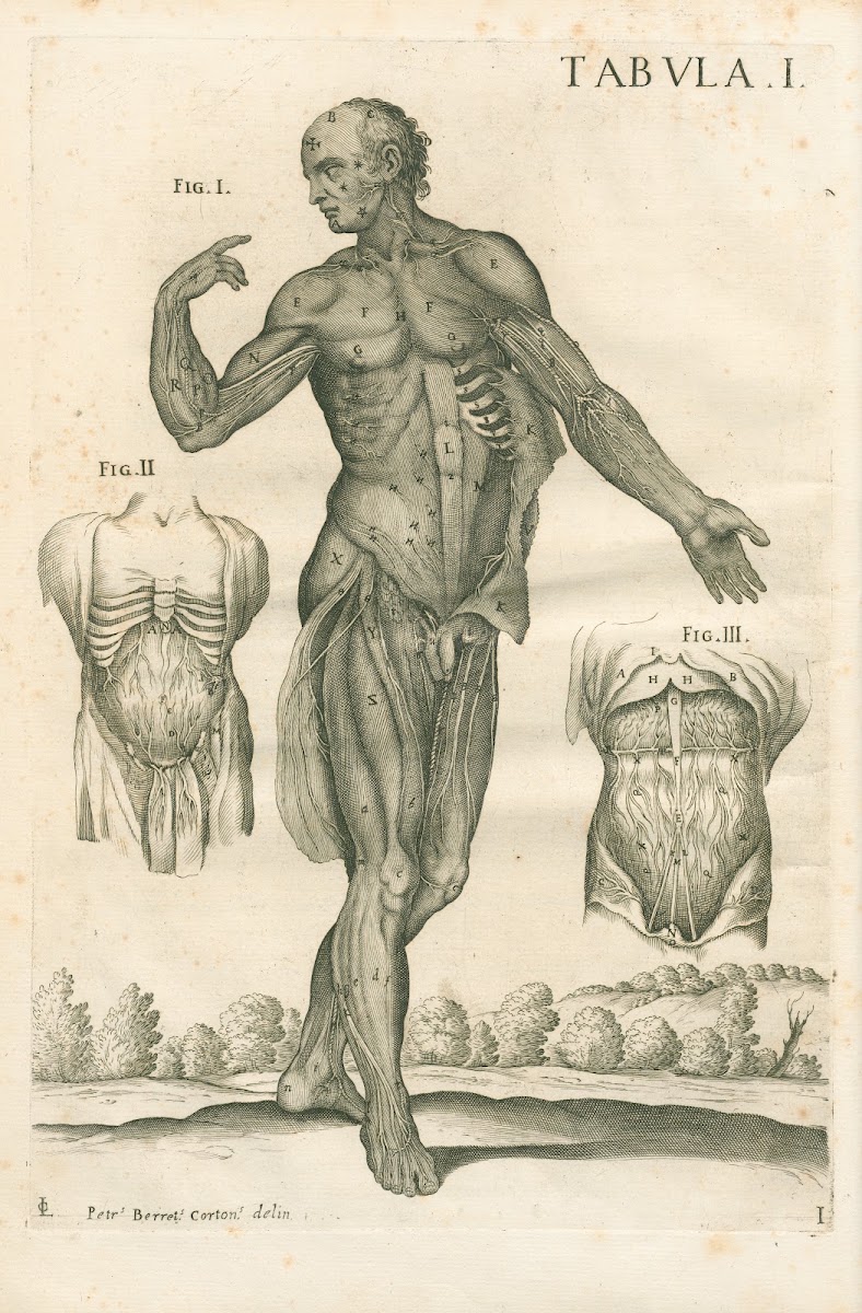 Tabulae anatomicae a celeberrimo pictore Petro Berretino Cortonensi Pl01 1741