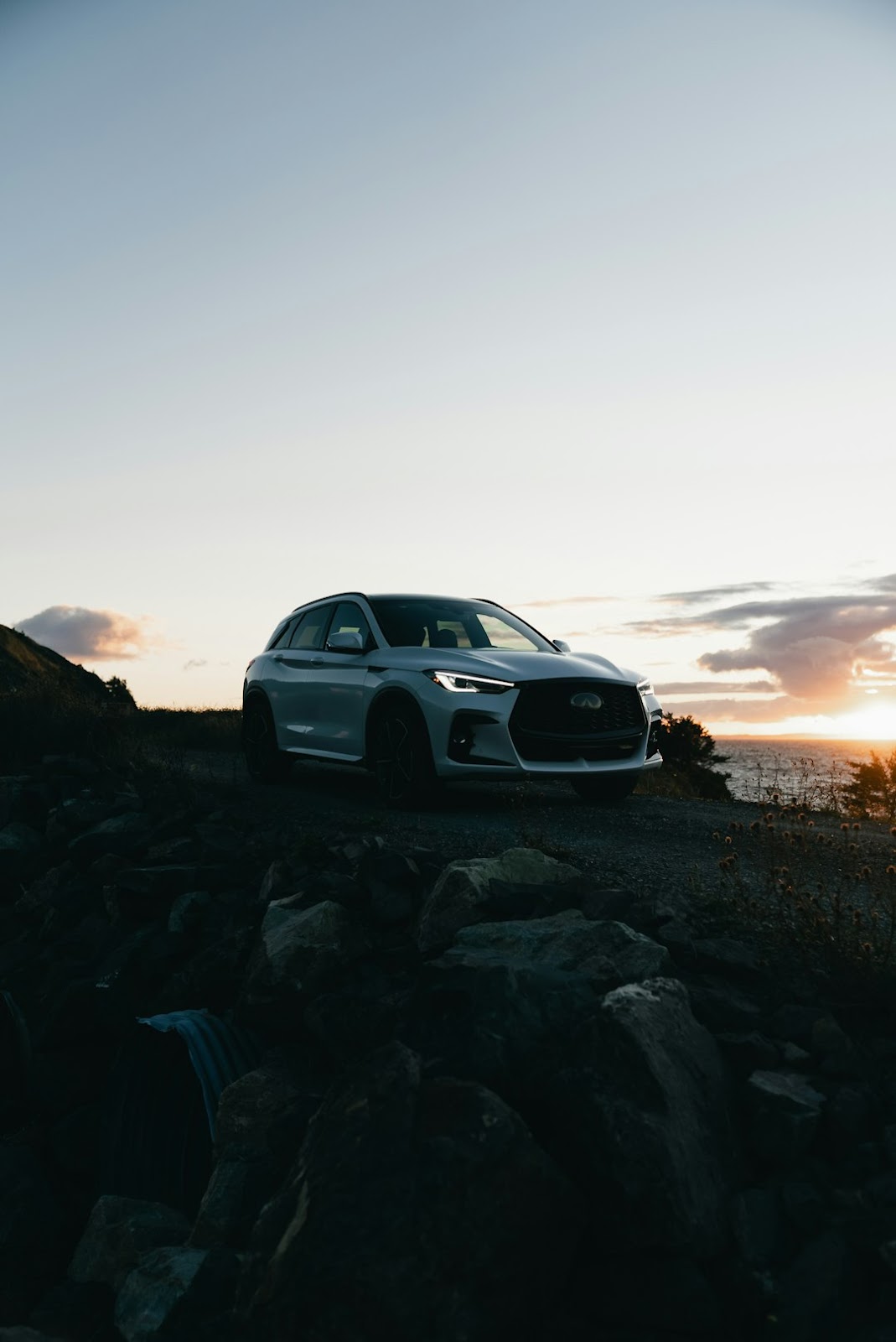 유채꽃밭 인생샷, '이것'만 알아도 성공! 촬영 팁 & 보정법