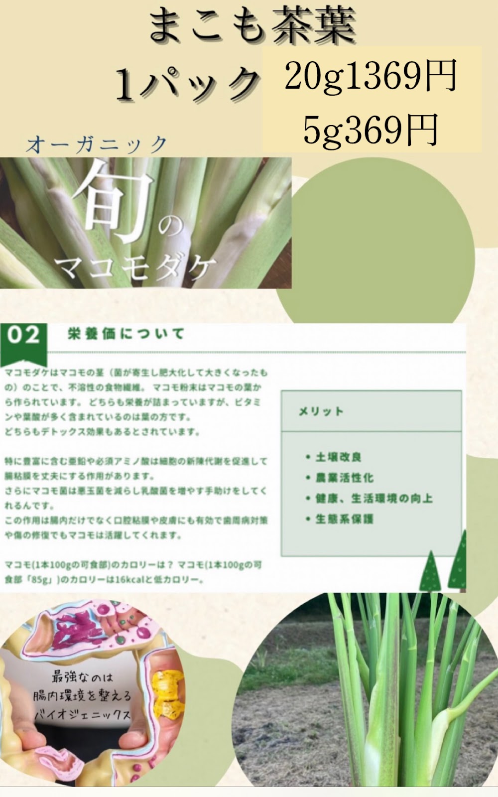 PureQueenの画像２