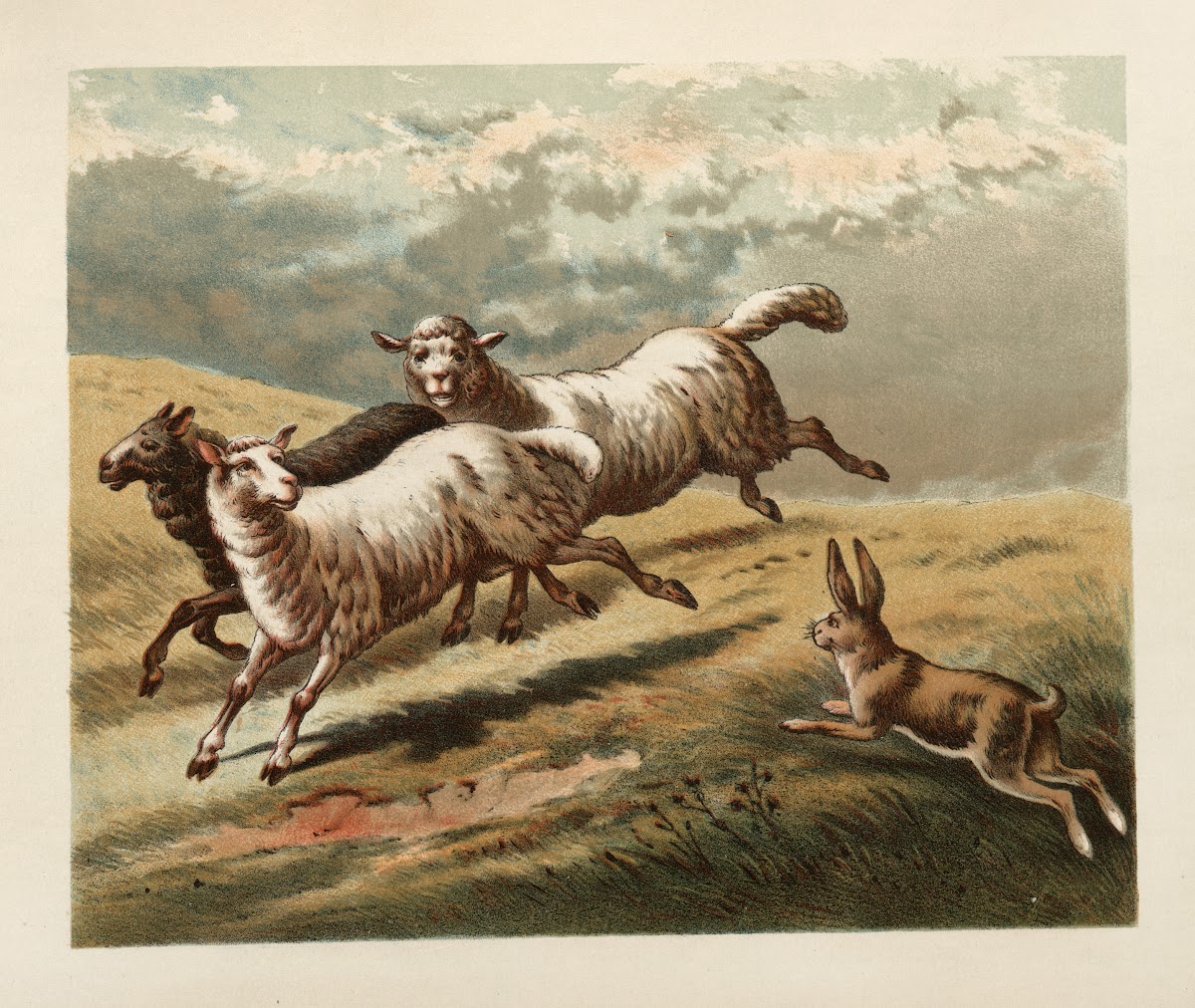 Ballad of the lost hare Pl07 1882